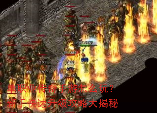 ��ְҵ����������ô�棿���ֿ����������Դ����