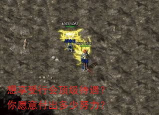 想享受行会顶级待遇?你愿意付出多少努力? 想享受行会顶级待遇?你愿意付出多少努力?