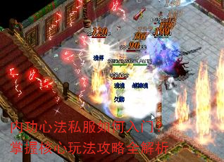 �ڹ��ķ�˽��������ţ����պ����淨����ȫ����