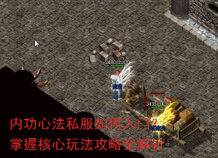 �ڹ��ķ�˽��������ţ����պ����淨����ȫ����