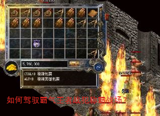 如何驾驭霸气王者战犯称霸战场? 如何驾驭霸气王者战犯称霸战场?