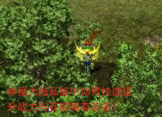 神魔大陆私服中如何快速提升战力与获取稀有装备? 神魔大陆私服中如何快速提升战力与获取稀有装备?
